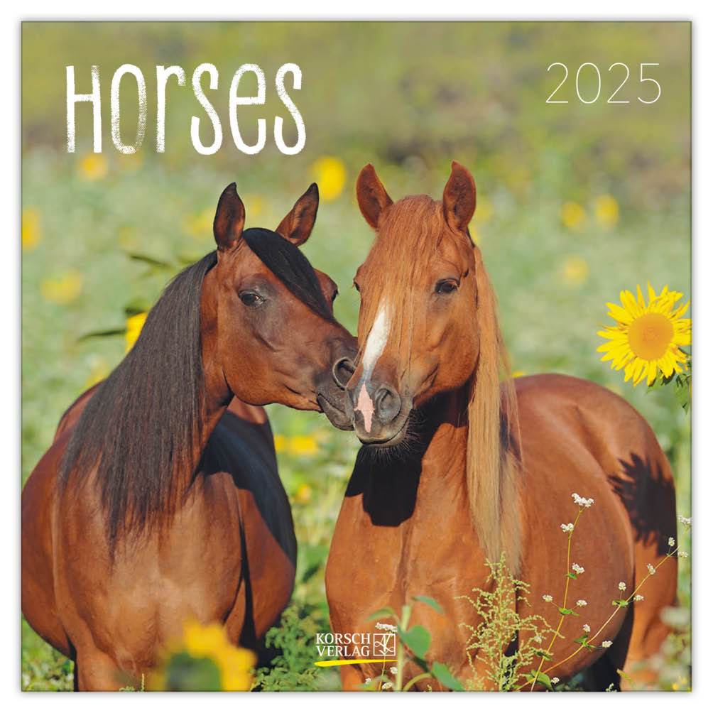 Horses kalender 2025 Comello